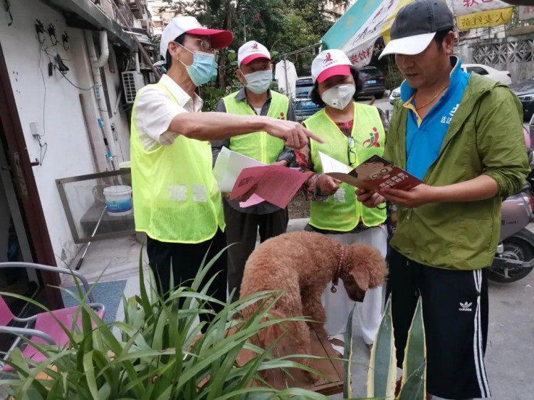 宁波6月1日养犬执法行动升级！禁养这些狗！