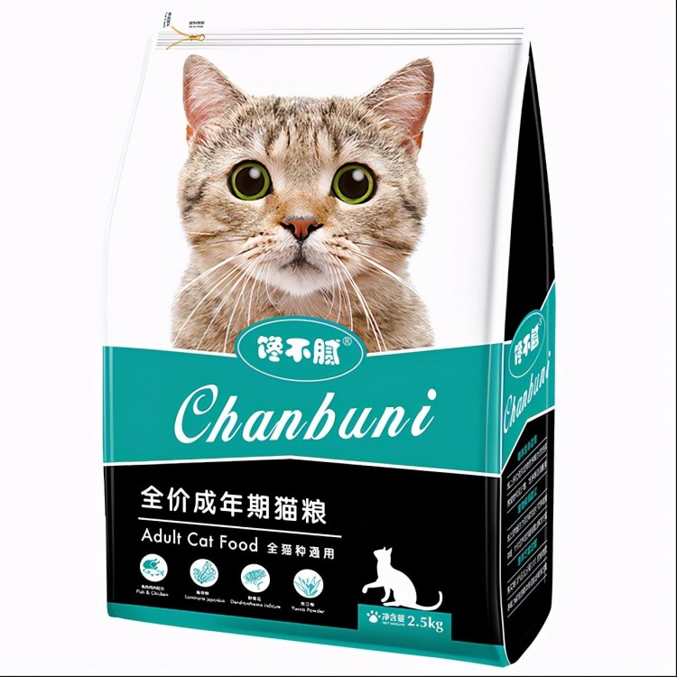 金吉拉猫吃什么猫粮好怎么挑选好猫粮适合金吉拉吃的猫粮推荐